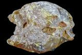 Beautiful Condor Agate From Argentina - Polished Face #79635-2